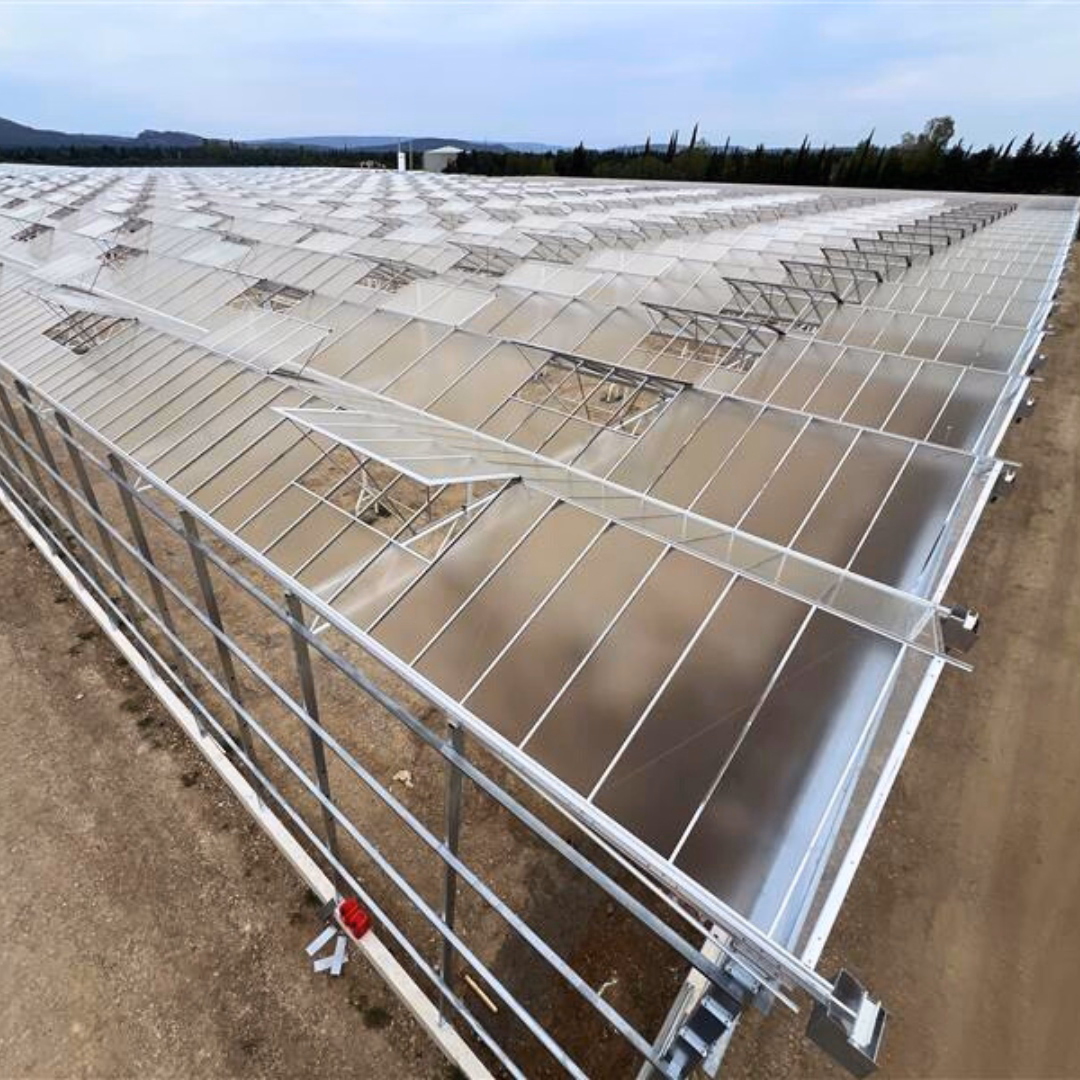 Szklarnia semi-closed w ujęciu narożnym, z widoczną konstrukcją stalową i pełnym przeszkleniem.