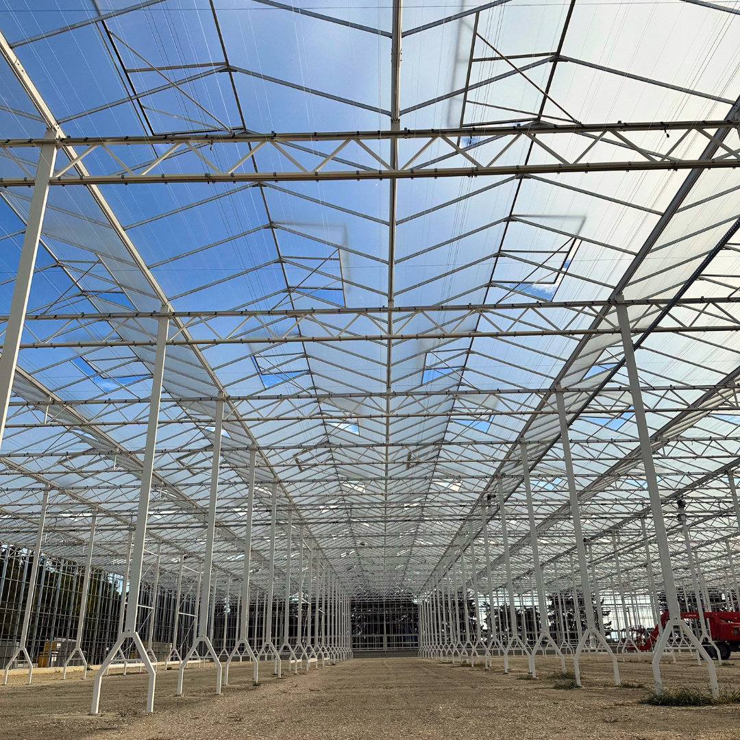 Wnętrze szklarni semi-closed z gotową stalową konstrukcją, widocznym układem naw i przeszkleniami dachu.