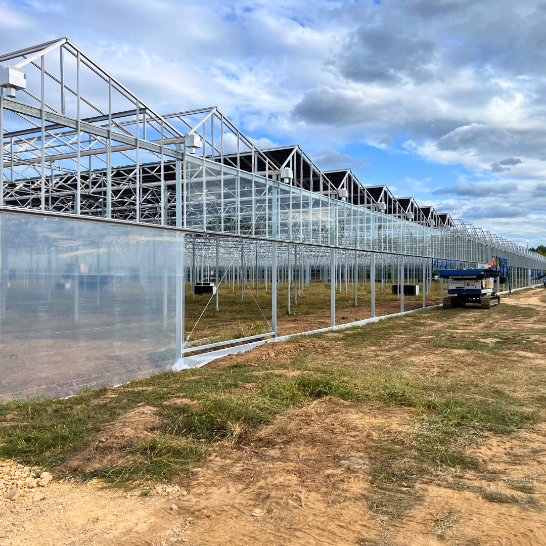Widok na szklarnię w trakcie szklenia ścian bocznych i montażu folii osłonowych, widok wzdłuż długiej nawy konstrukcyjnej.