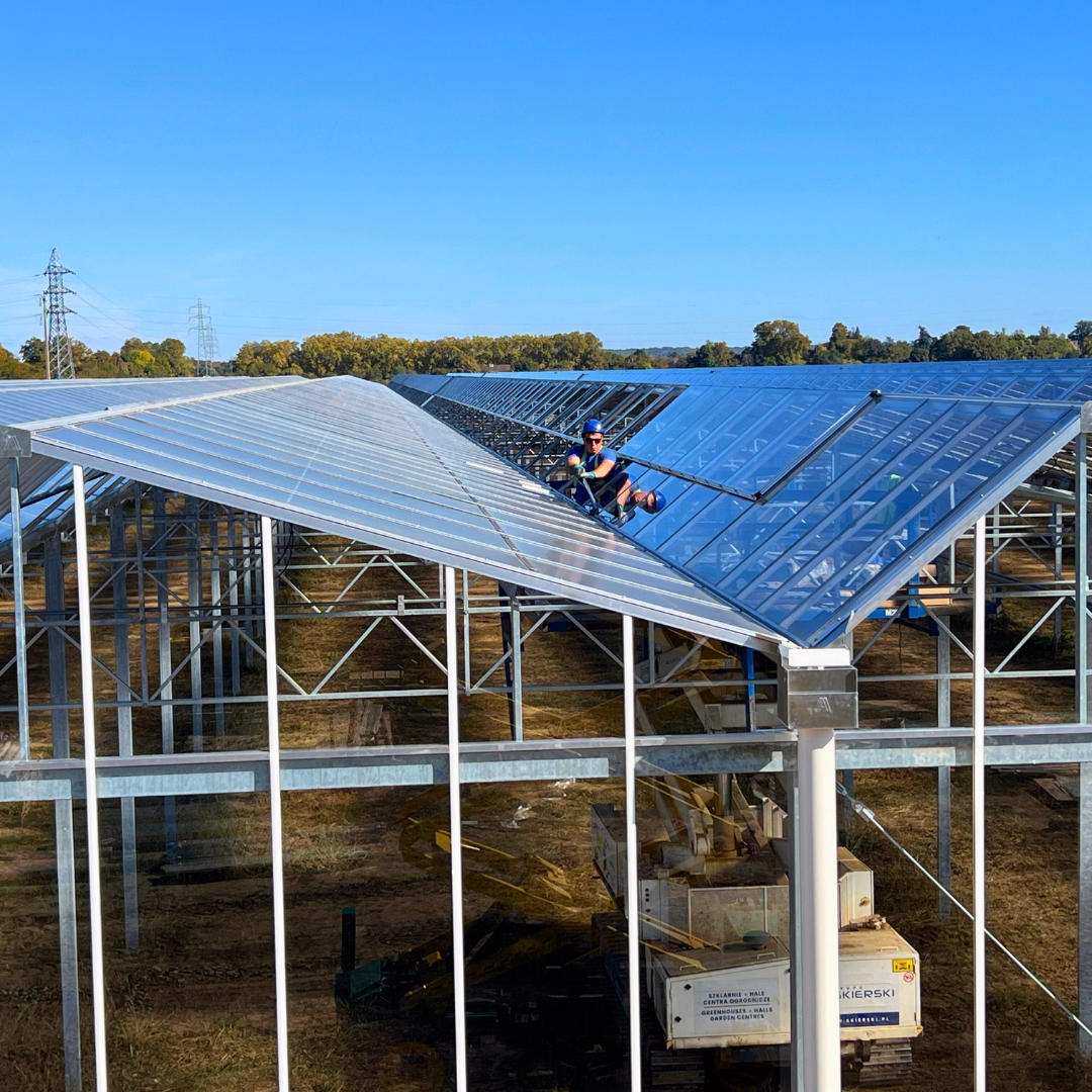 Pracownik wykonujący prace wykończeniowe przy szkleniu dachu szklarni.