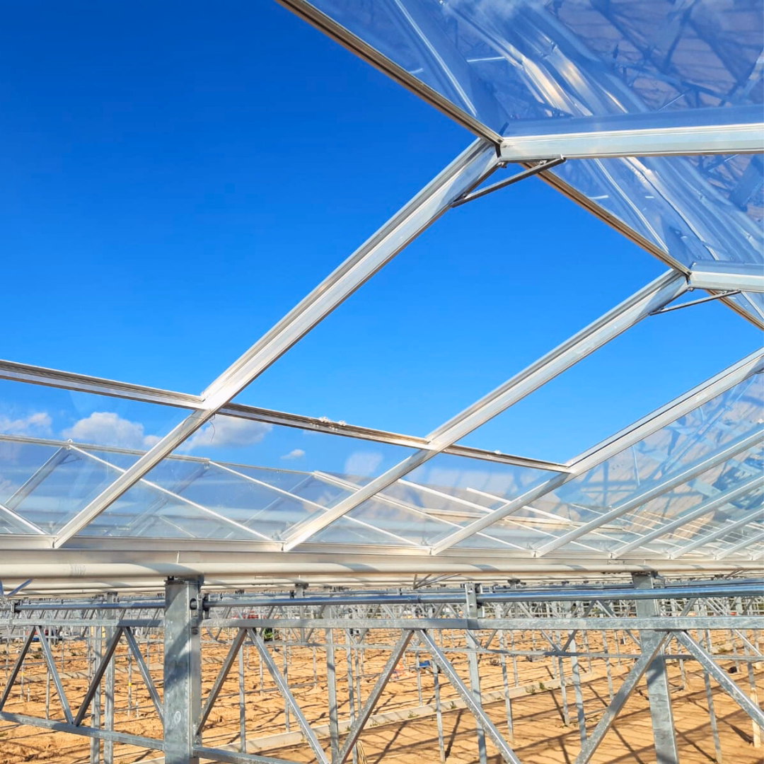 Zbliżenie na oszkloną konstrukcję dachu szklarni z widocznymi profilami stalowymi i szkłem.
