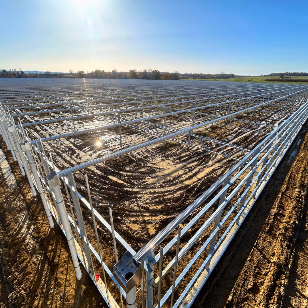 Montaż dolnych elementów konstrukcji szklarni na podmokłym, wymagającym terenie; widoczne pierwsze rzędy słupów i zbrojenie przygotowane pod dalsze etapy budowy.