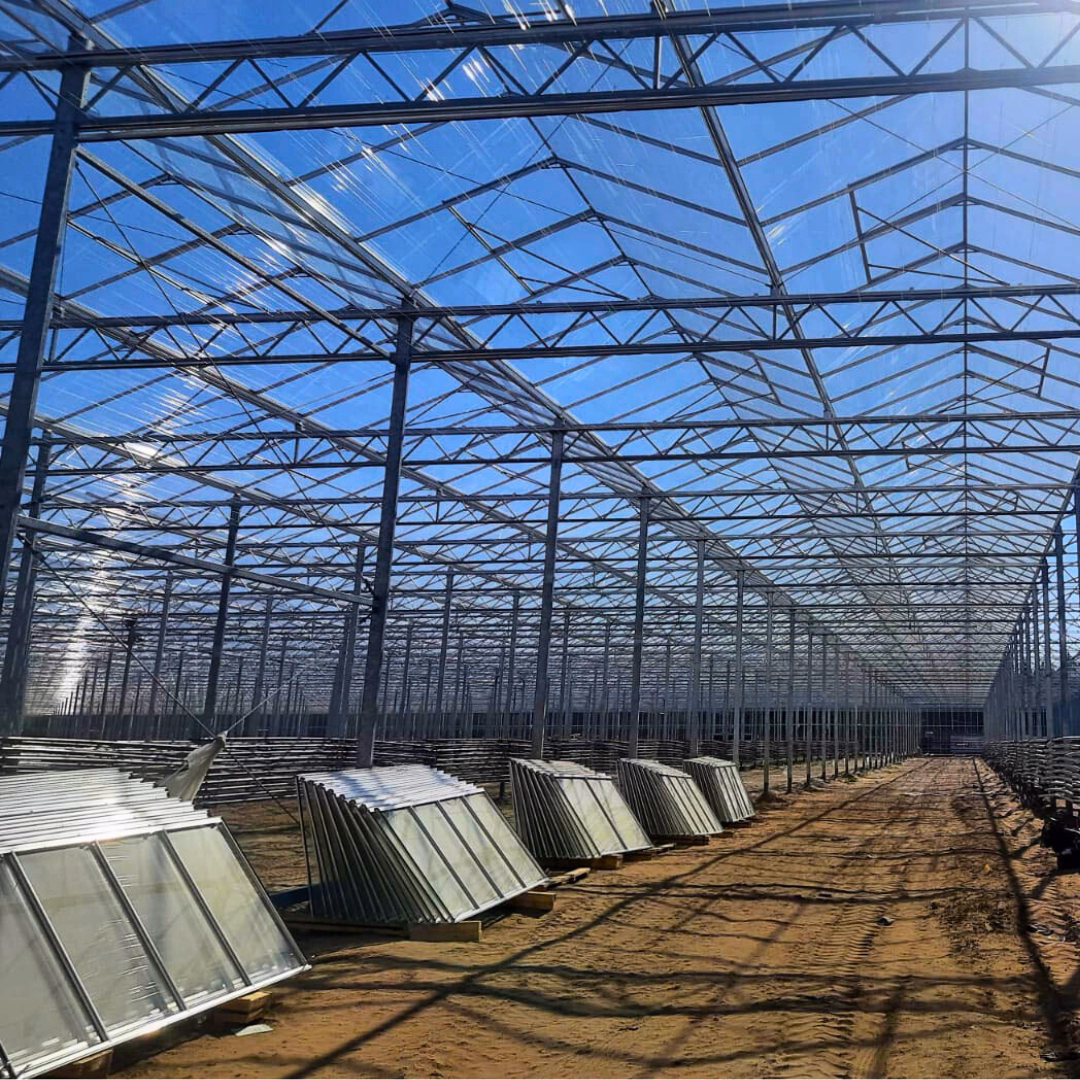 Wnętrze budowanej szklarni Citronex z widoczną konstrukcją stalową i płytami szkła.