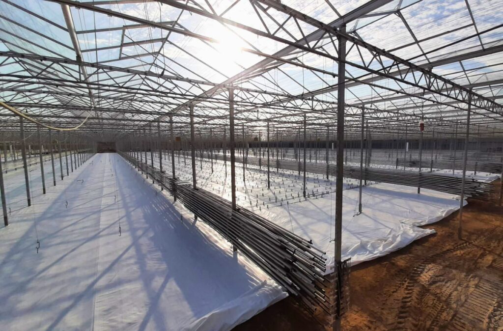 Montaż elementów wewnętrznych i systemów uprawowych w szklarni Citronex.