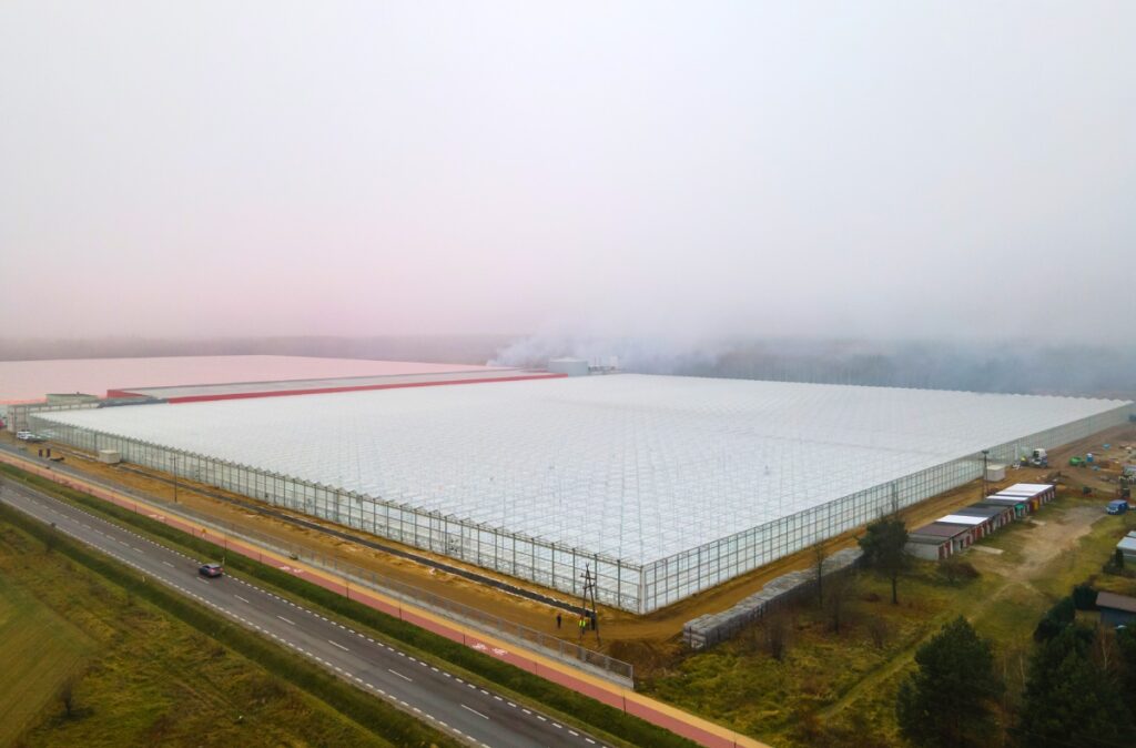 Gotowa szklarnia Citronex z lotu ptaka na etapie końcowym budowy.