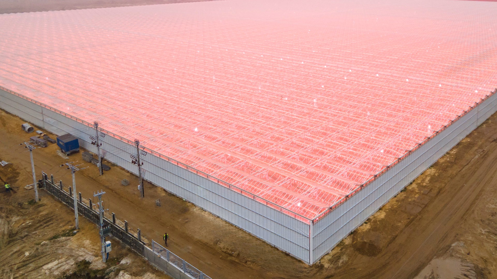 Widok z lotu ptaka na szklarnię produkcyjną o powierzchni 22 ha.