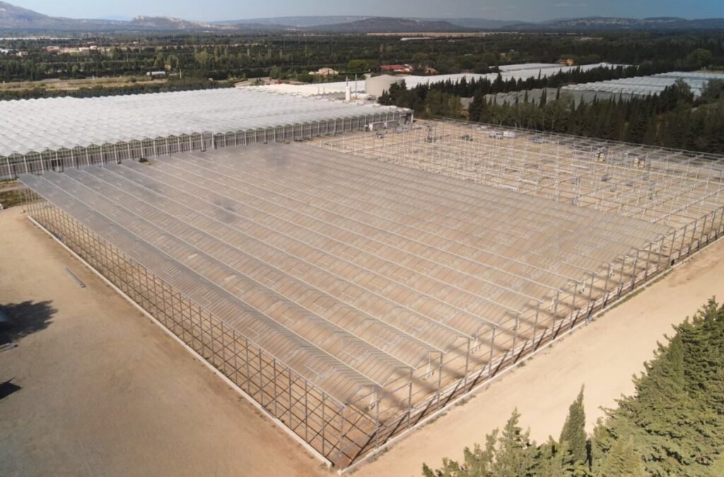 Zaawansowany montaż konstrukcji szklarni z widoczną geometrią naw i ram stalowych.