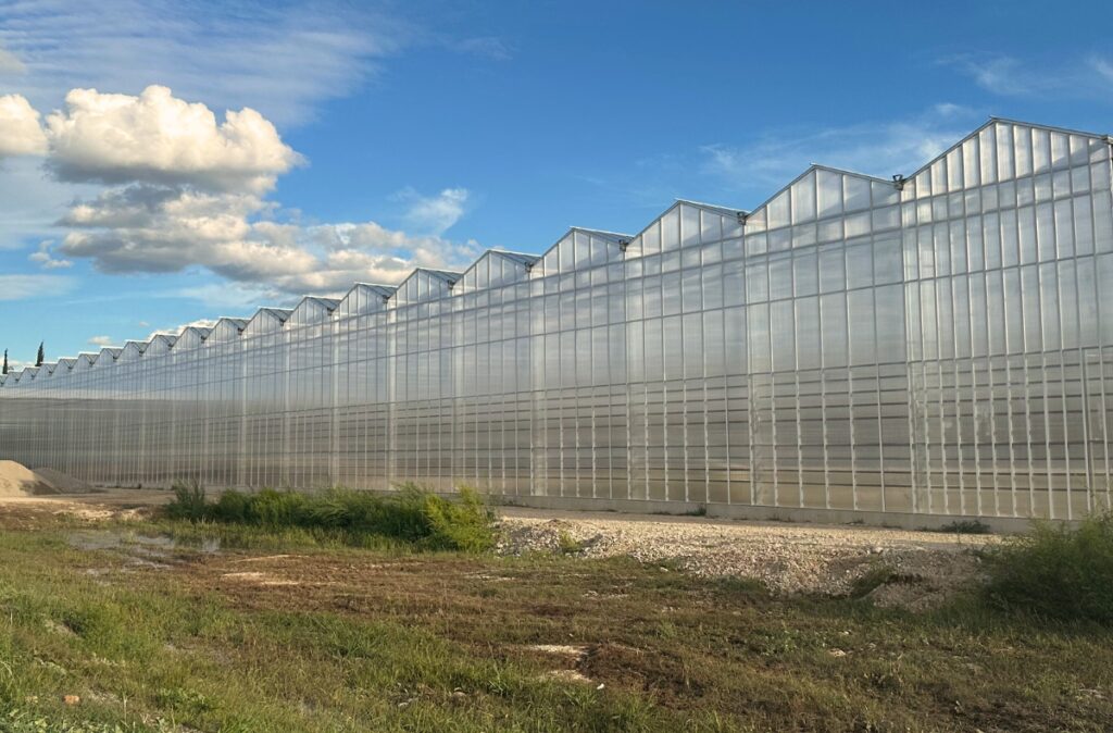 Widok na elewację ukończonej szklarni semi-closed na etapie prac wykończeniowych.