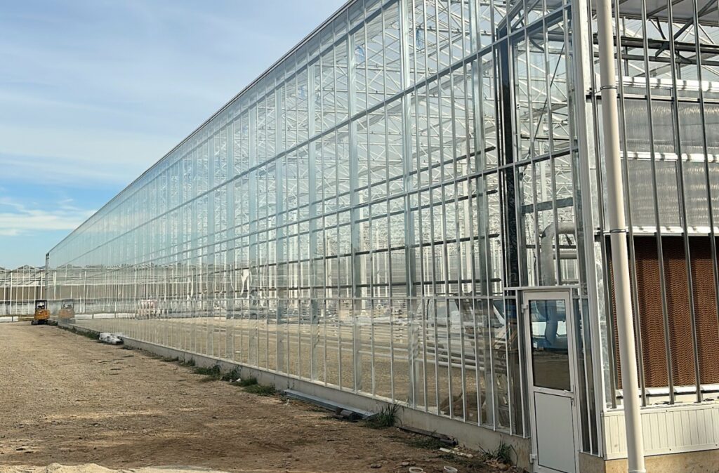 Elewacja boczna szklarni semi-closed z widocznymi modułami szklenia i konstrukcją stalową.