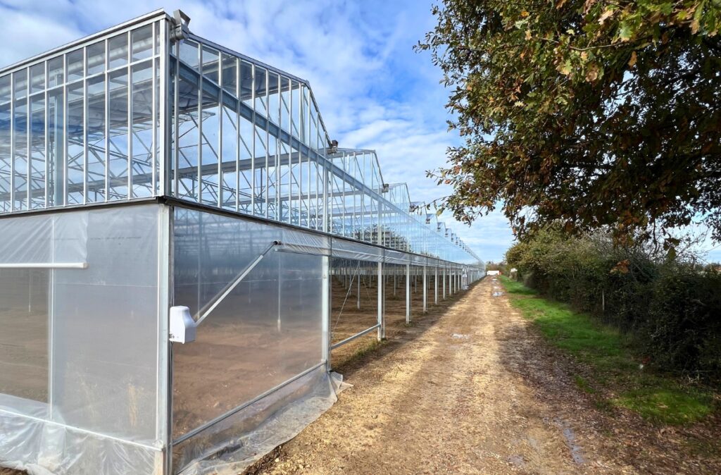 Widok na gotową konstrukcję szklarni z zamontowanymi roletami typu roll-up sides wzdłuż całej długości obiektu.