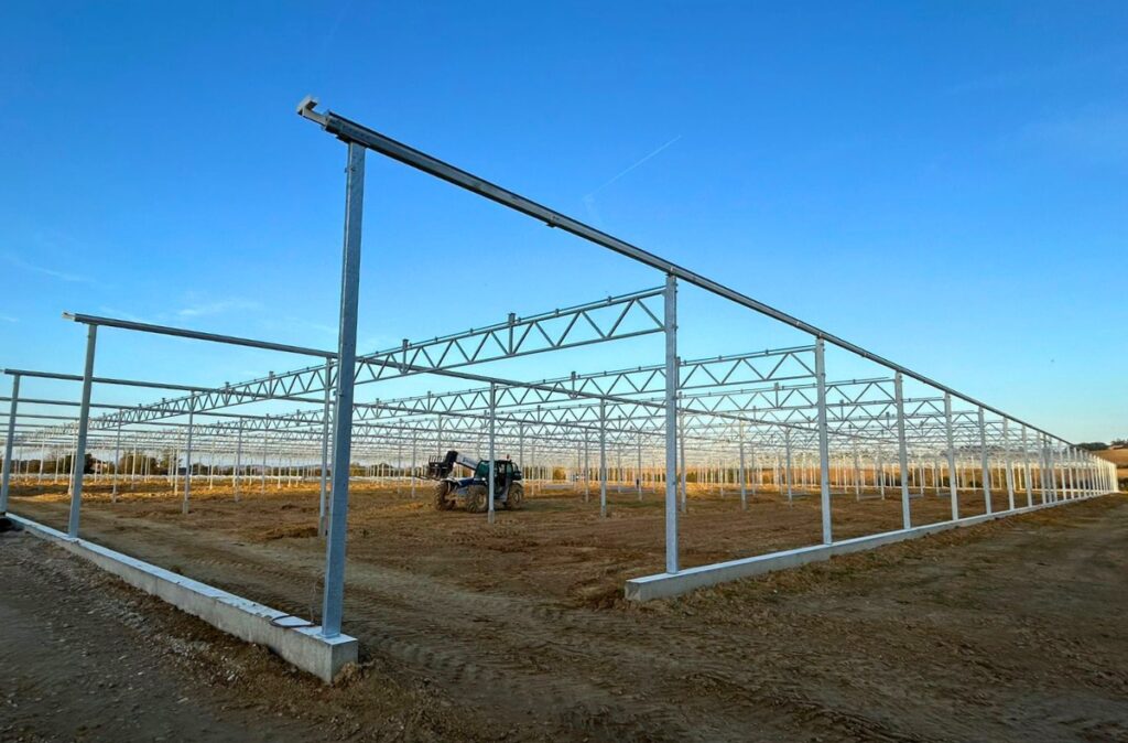 Montaż pierwszych ram konstrukcyjnych szklarni na przygotowanym podłożu, z widoczną linią słupów i ładowarką teleskopową z koszem.
