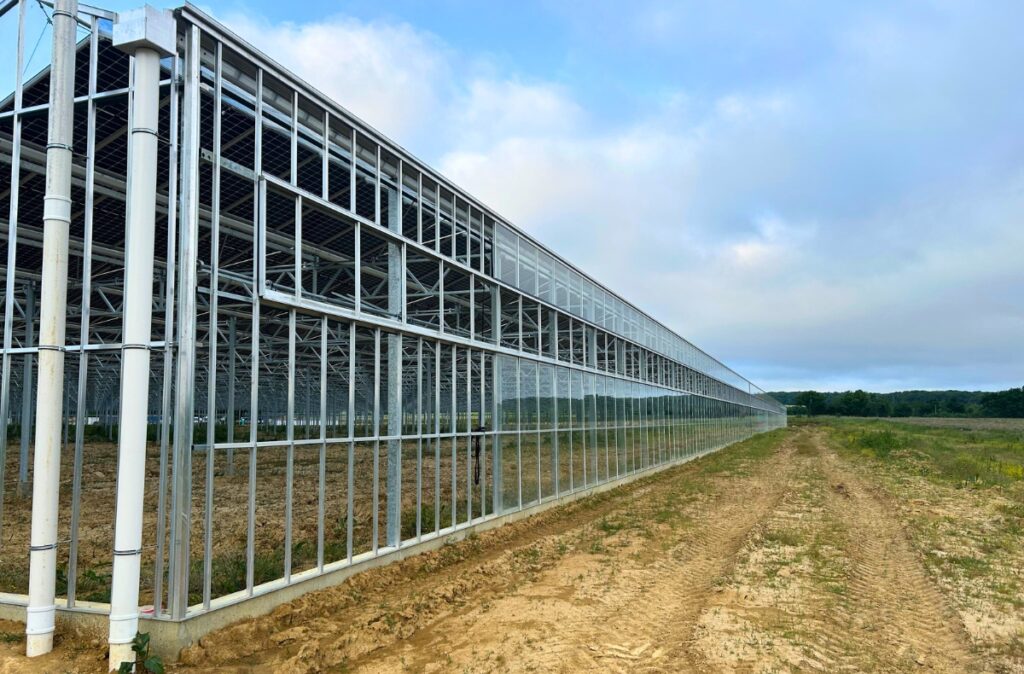 Zewnętrzna ściana szklarni w trakcie realizacji, z zamontowanymi słupami i szkleniem na pełnej długości obiektu.