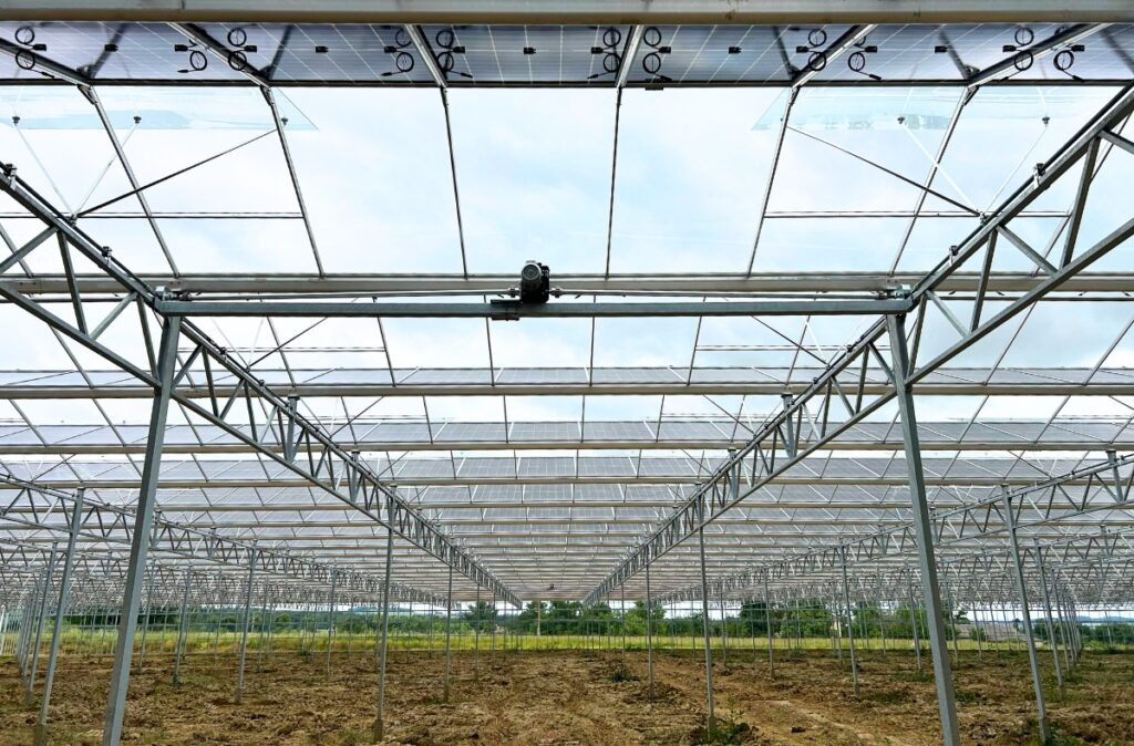 Wnętrze szklarni z kompletną konstrukcją dachową – montaż elementów stalowych i systemów podwieszeń.