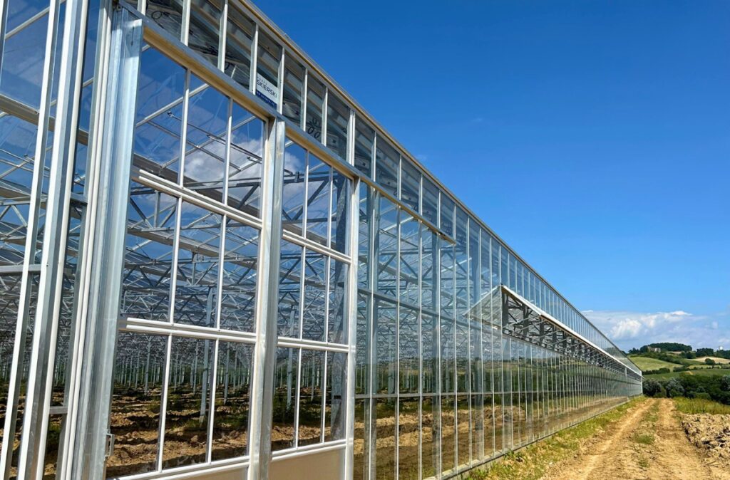 Ściana szczytowa szklarni z zamontowanymi drzwiami oraz szkleniem, w trakcie prac wykończeniowych.