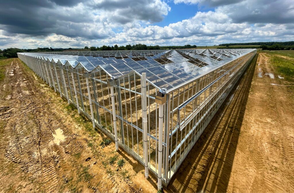 Panorama szklarni z zamontowanymi modułami szklanymi, pokazująca długość i skalę inwestycji.