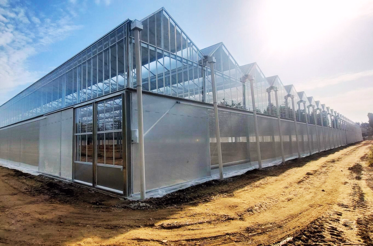 Szklarnia fotowoltaiczna w trakcie budowy - konstrukcja szklarni z panelami PV na dachu.