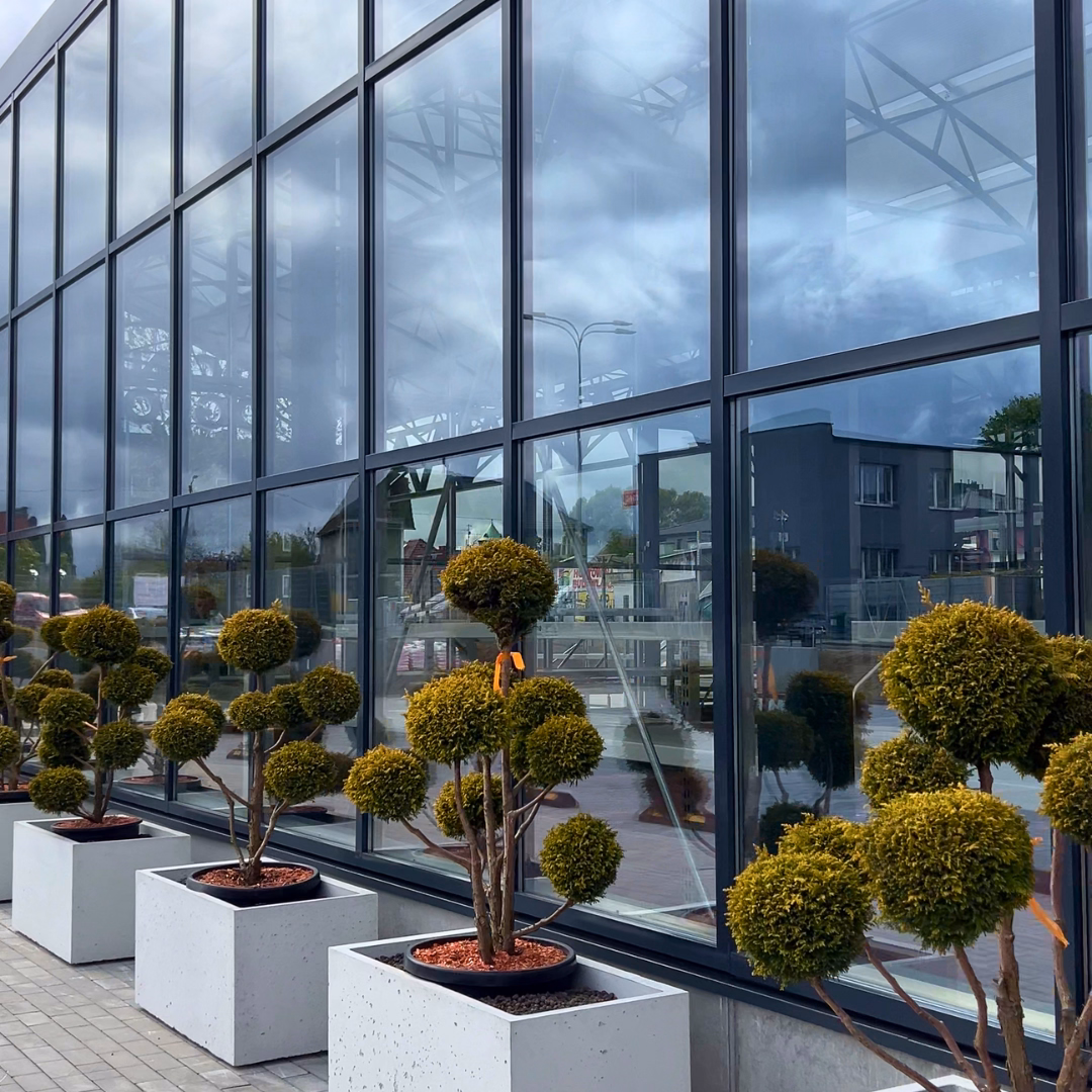 Szklana elewacja działu ogrodniczego z donicami roślin ozdobnych ustawionymi wzdłuż fasady.