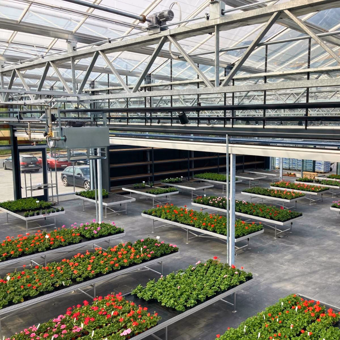 Wnętrze wolnostojącego centrum ogrodniczego z konstrukcją szklarniową i stołami uprawowymi z roślinami.