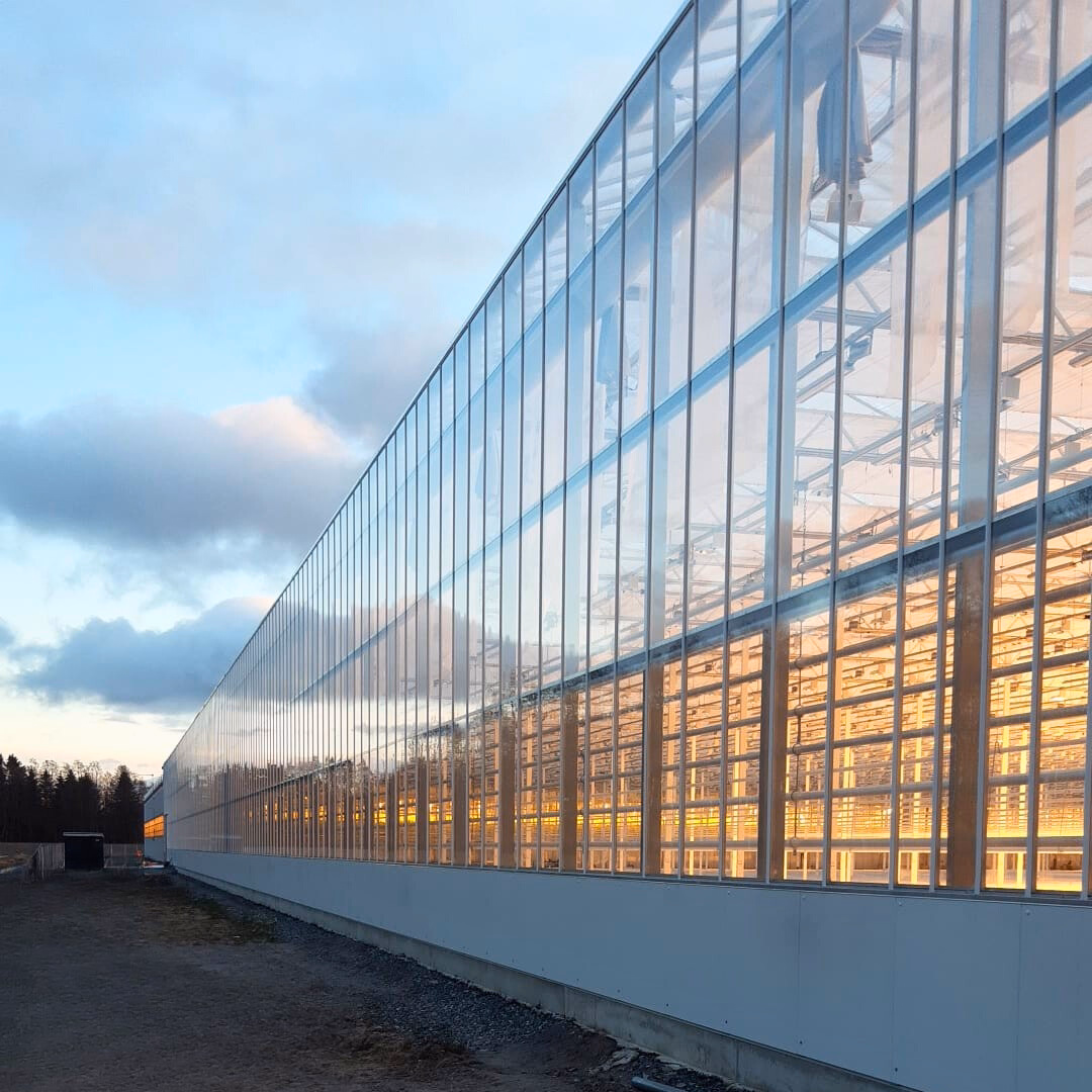 Przeszklona elewacja szklarni do uprawy pomidorów.