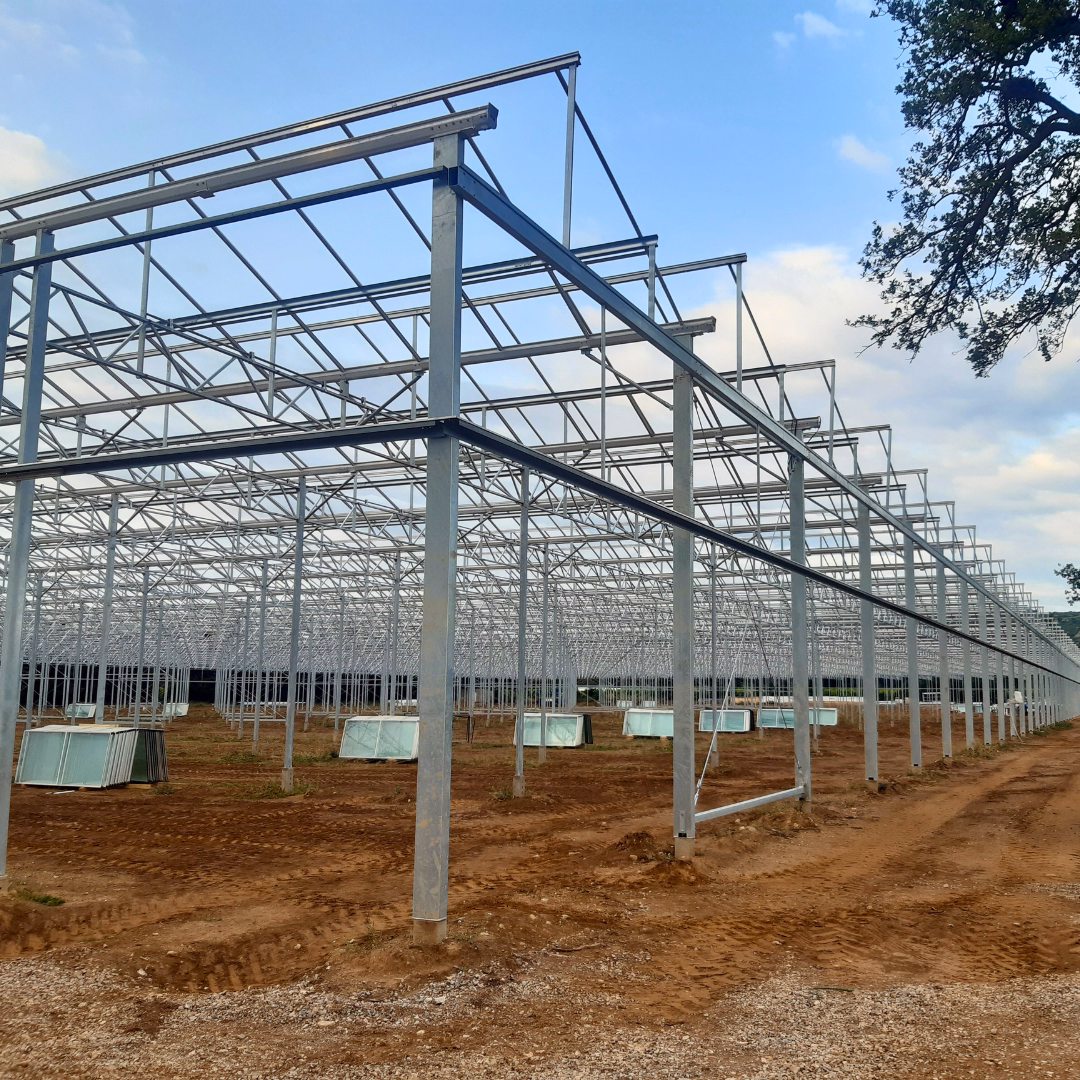 Konstrukcja nośna szklarni w trakcie montażu – stalowy szkielet przygotowany pod poszycie.