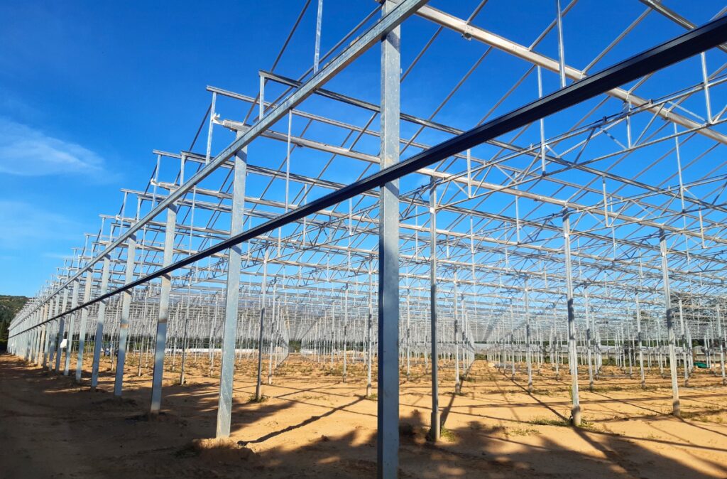 Montaż stalowej konstrukcji nośnej szklarni - etap wznoszenia układu konstrukcyjnego.