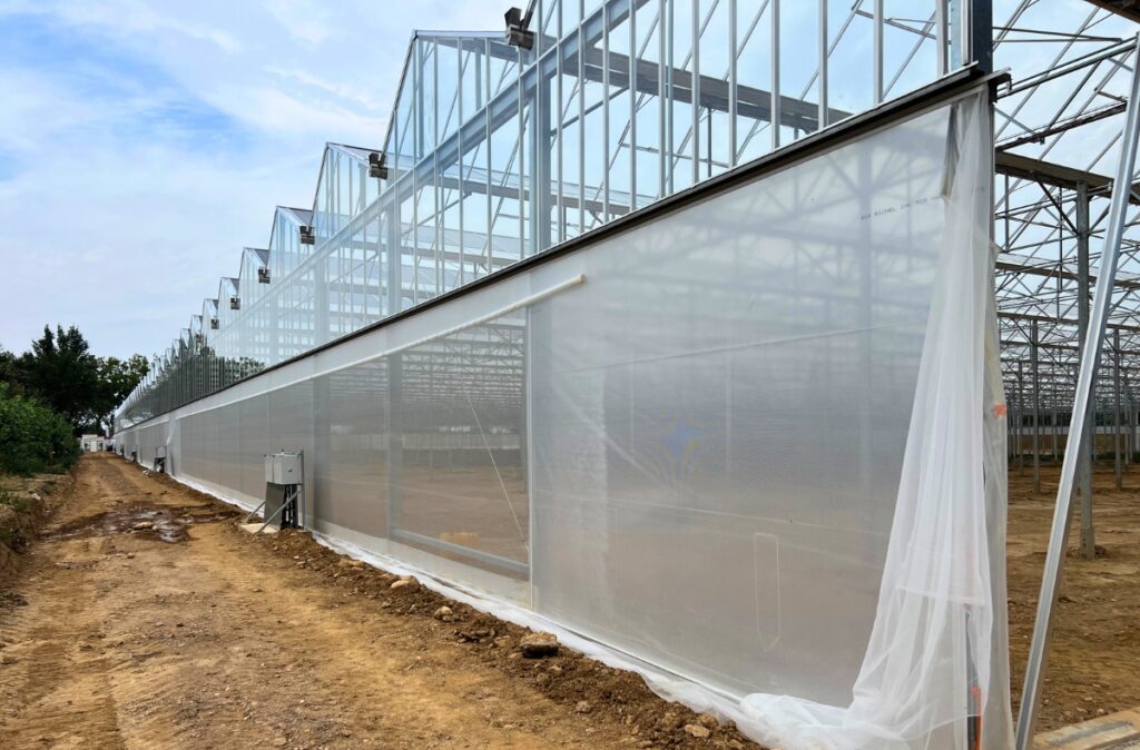 Montaż bocznych osłon foliowych typu roll-up w szklarni.