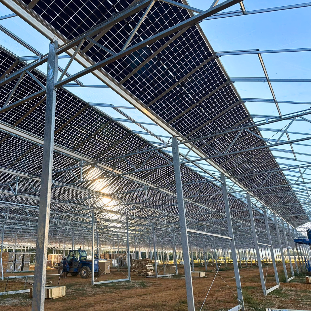 Wnętrze szklarni fotowoltaicznej w trakcie montażu paneli fotowoltaicznych na konstrukcji dachu.