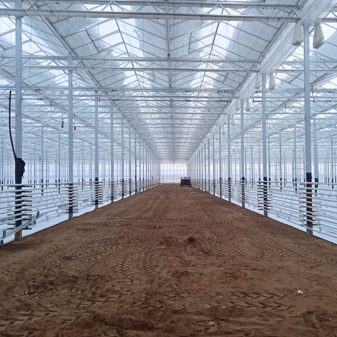 Wnętrze szklarni po zakończeniu montażu konstrukcji.