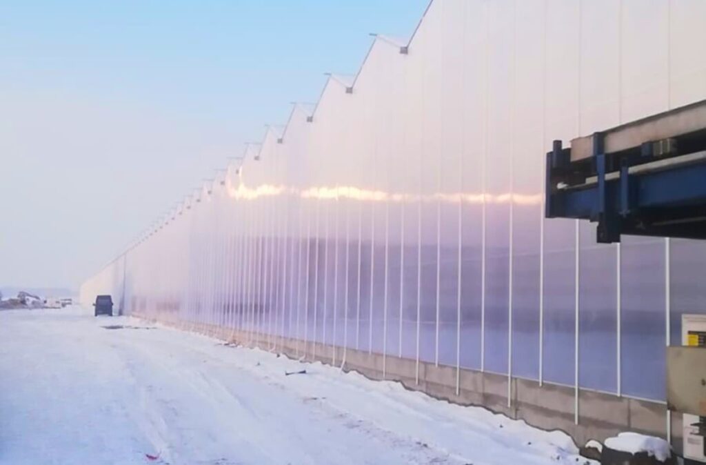 Ściana boczna szklarni z obudową z płyt poliwęglanowych.