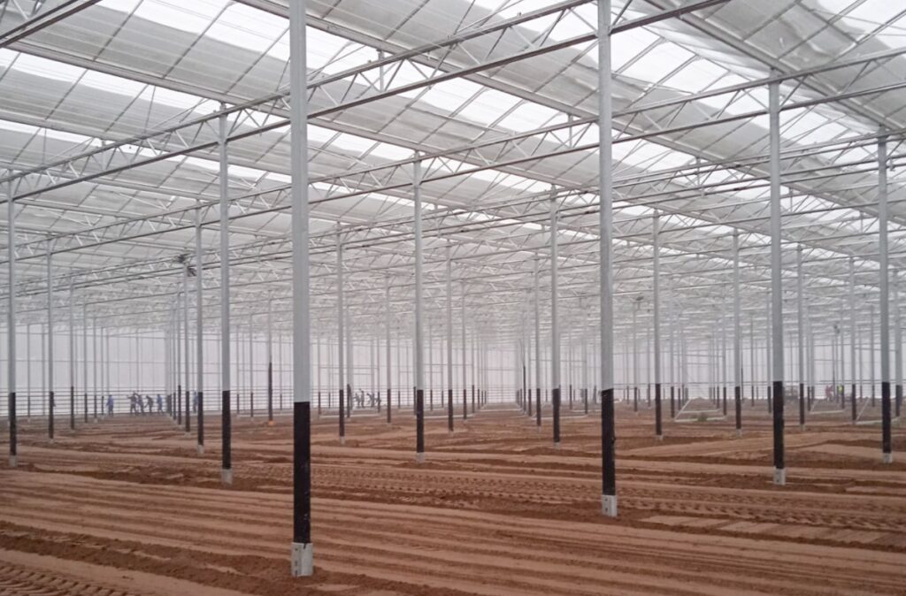 Wnętrze szklarni po zakończeniu montażu konstrukcji.