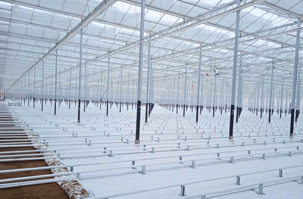System uprawowy wewnątrz szklarni produkcyjnej.