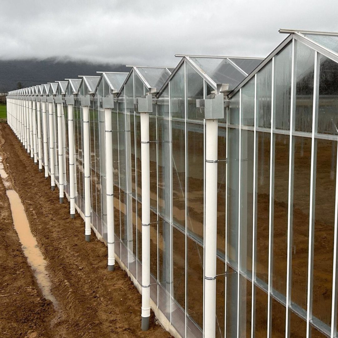 Konstrukcja ściany bocznej szklarni z widocznym układem przeszkleń i rynien odpływowych.
