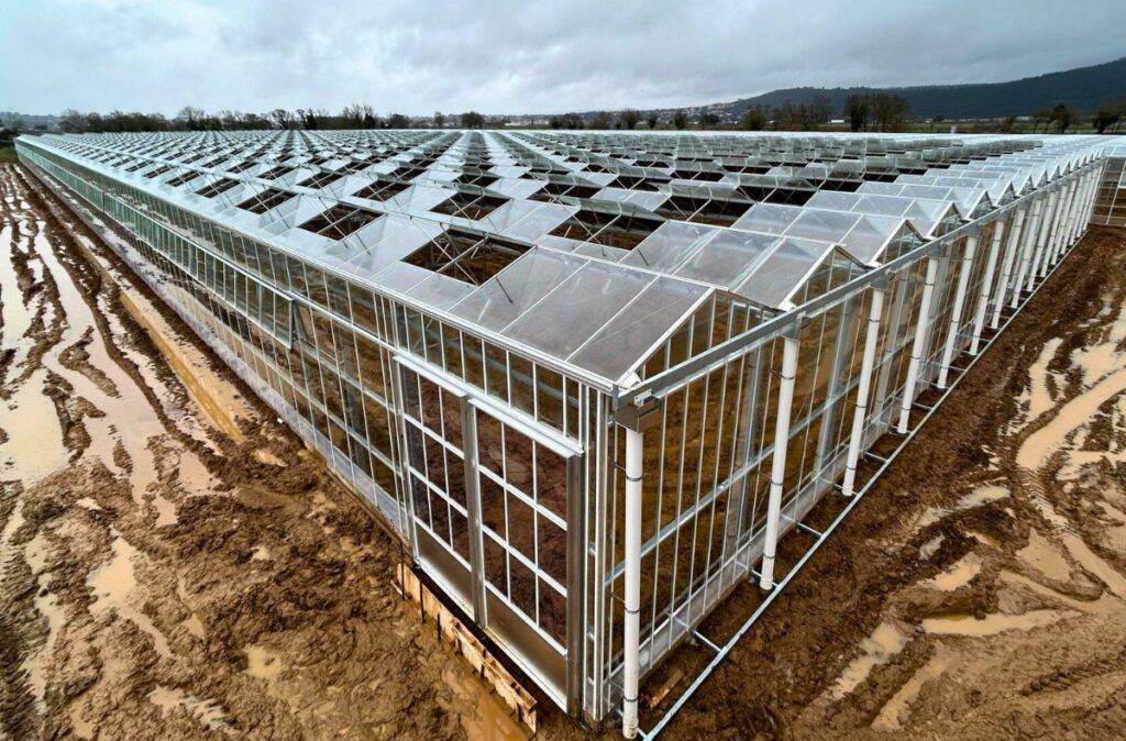 Gotowa szklarnia fotowoltaiczna z kompletną konstrukcją i instalacją paneli PV.