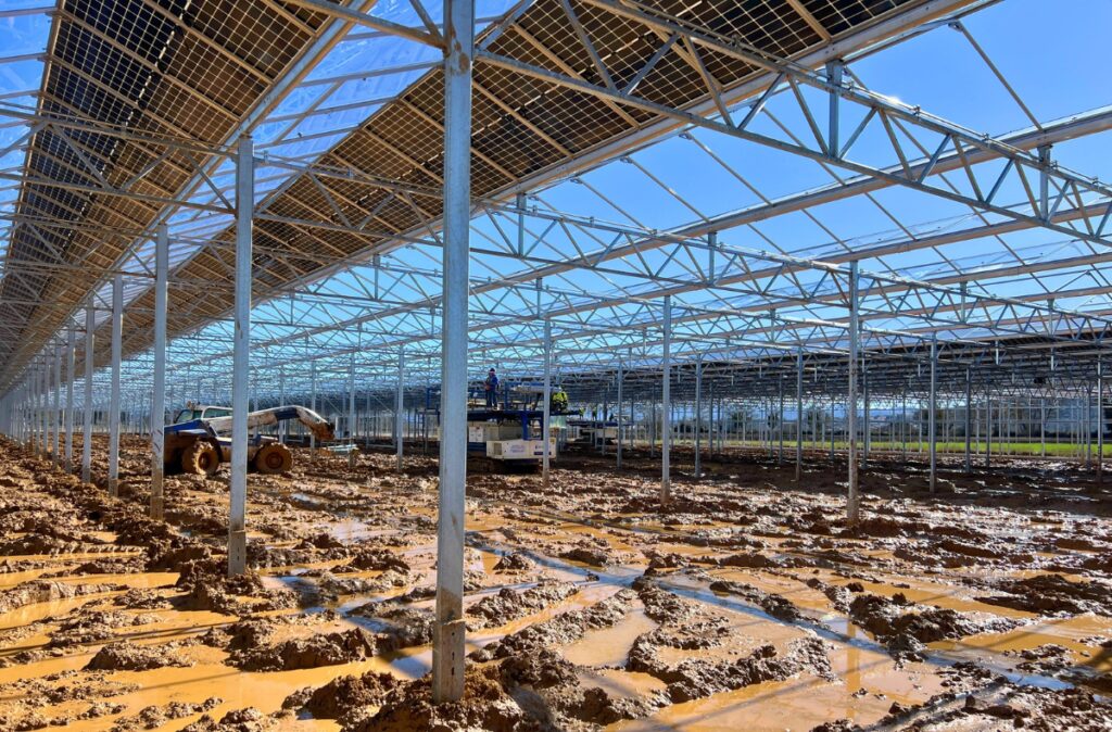 Widok wnętrza szklarni fotowoltaicznej podczas prac konstrukcyjnych.