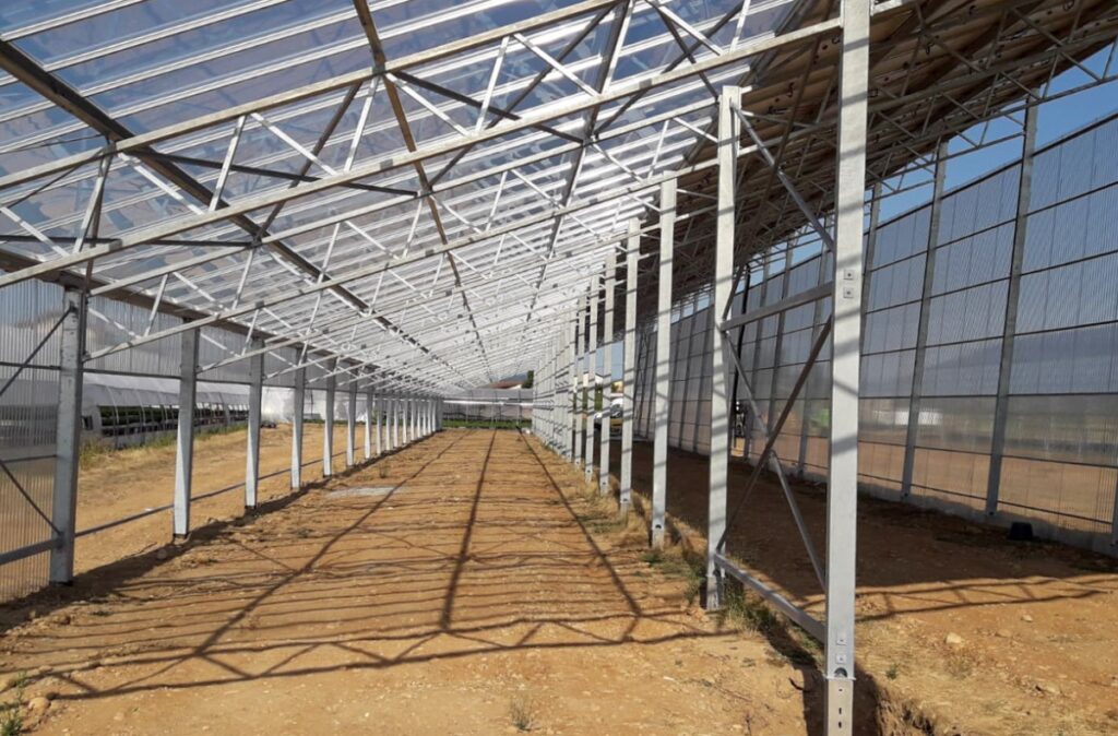 Widok wnętrza szklarni w trakcie realizacji – konstrukcja nośna i przestrzeń uprawowa.