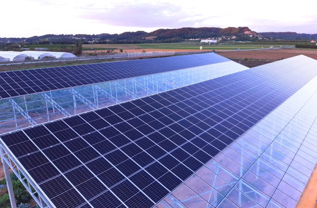 Panele fotowoltaiczne zamontowane na konstrukcji szklarni.