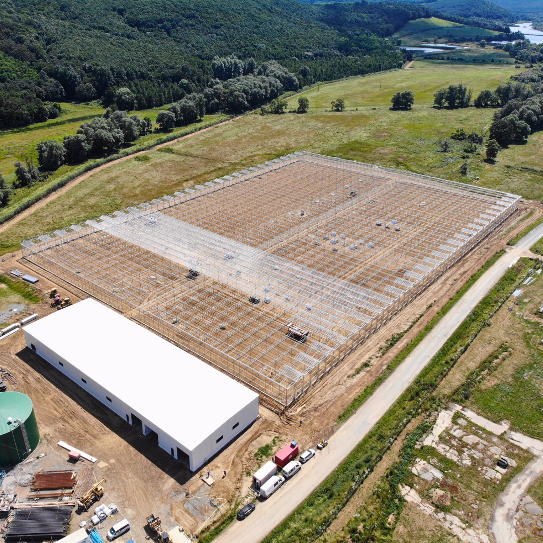 Montaż pokrycia szklarni na dachu - widok z lotu ptaka.