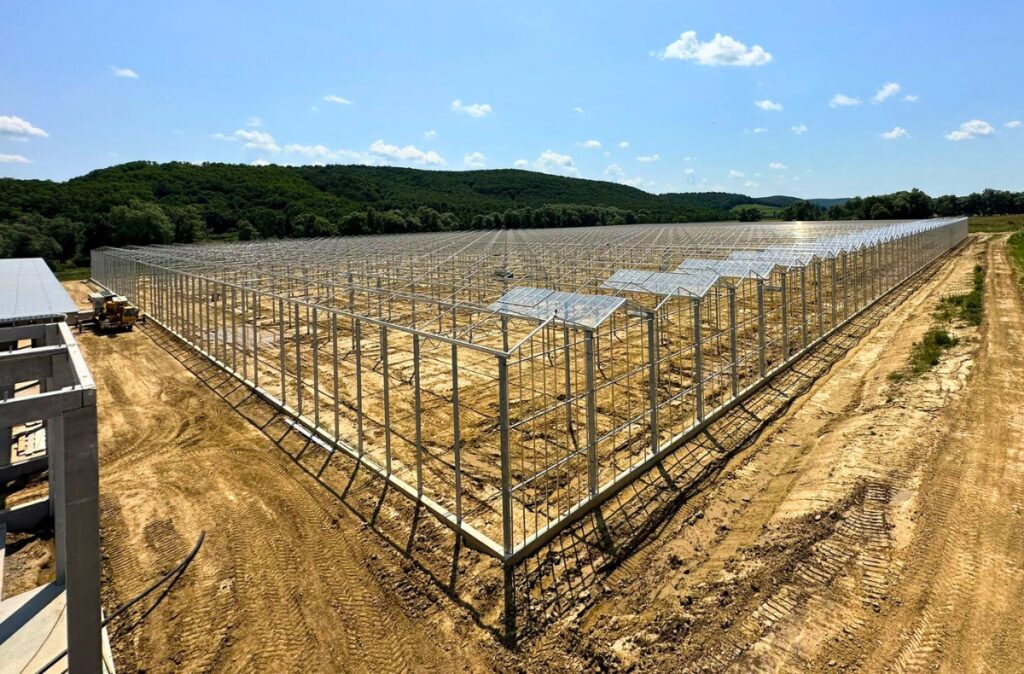 Stalowa konstrukcja szklarni w trakcie szklenia dachu.
