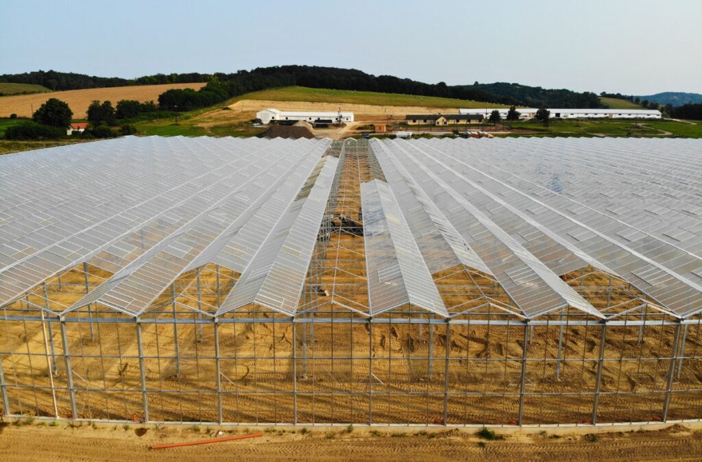 Montaż pokrycia szklarni na dachu.