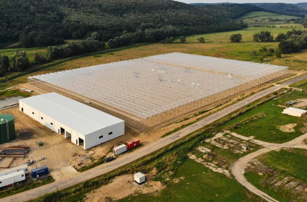 Gotowa szklarnia produkcyjna widok z lotu ptaka.