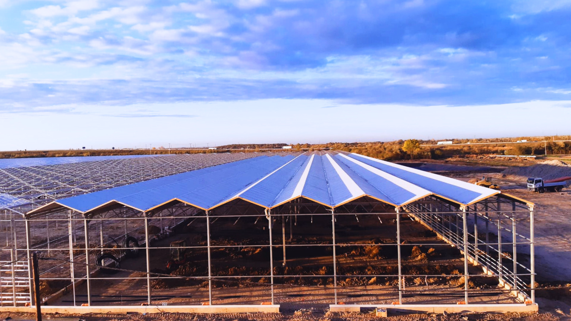 Nowoczesna szklarnia produkcyjna w trakcie budowy – konstrukcja stalowa z dachem dwuspadowym, przystosowana do całorocznej uprawy roślin.