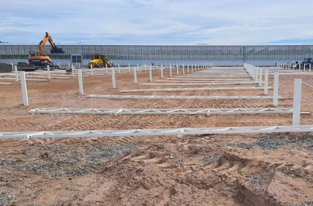 Przygotowanie terenu pod szklarnię do uprawy pomidorów.