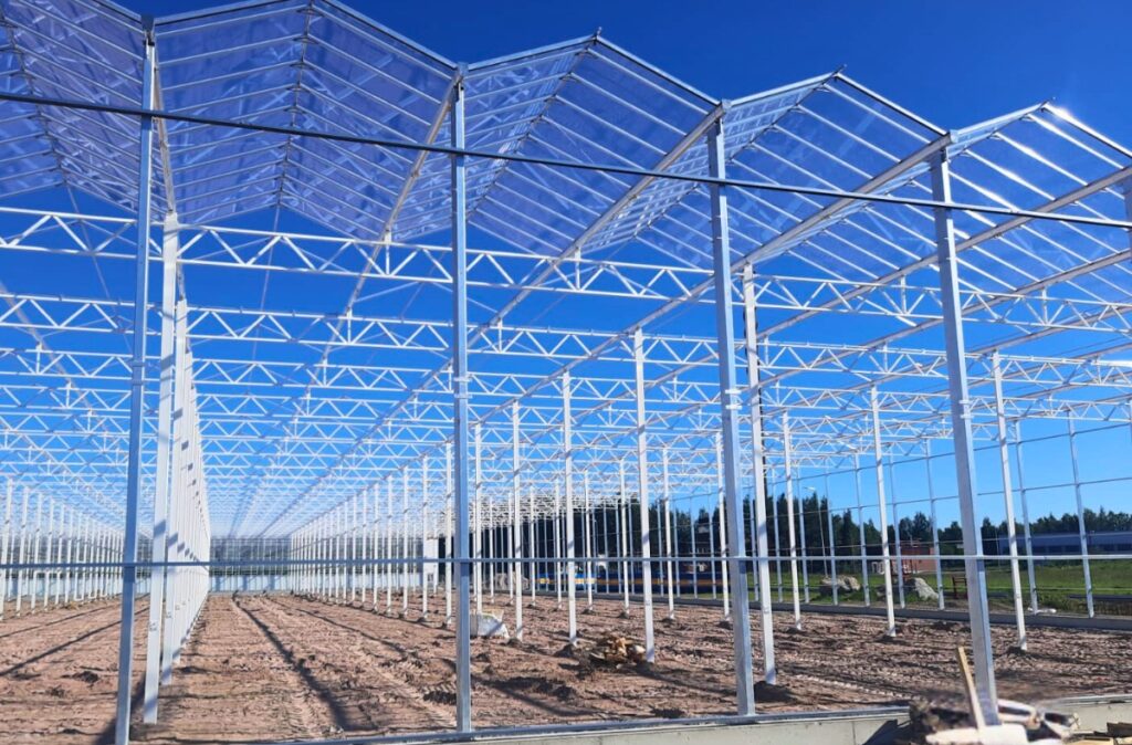 Konstrukcja szklarni w trakcie montażu dachu.