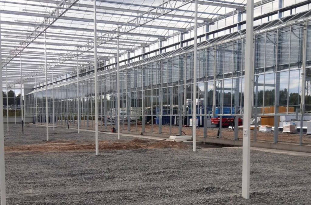 Wnętrze szklarni podczas prac wykończeniowych.