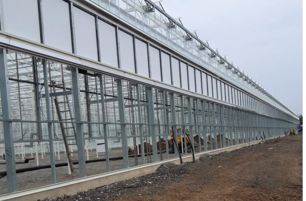 Elewacja szklarni z systemami wentylacji i przeszkleniem.