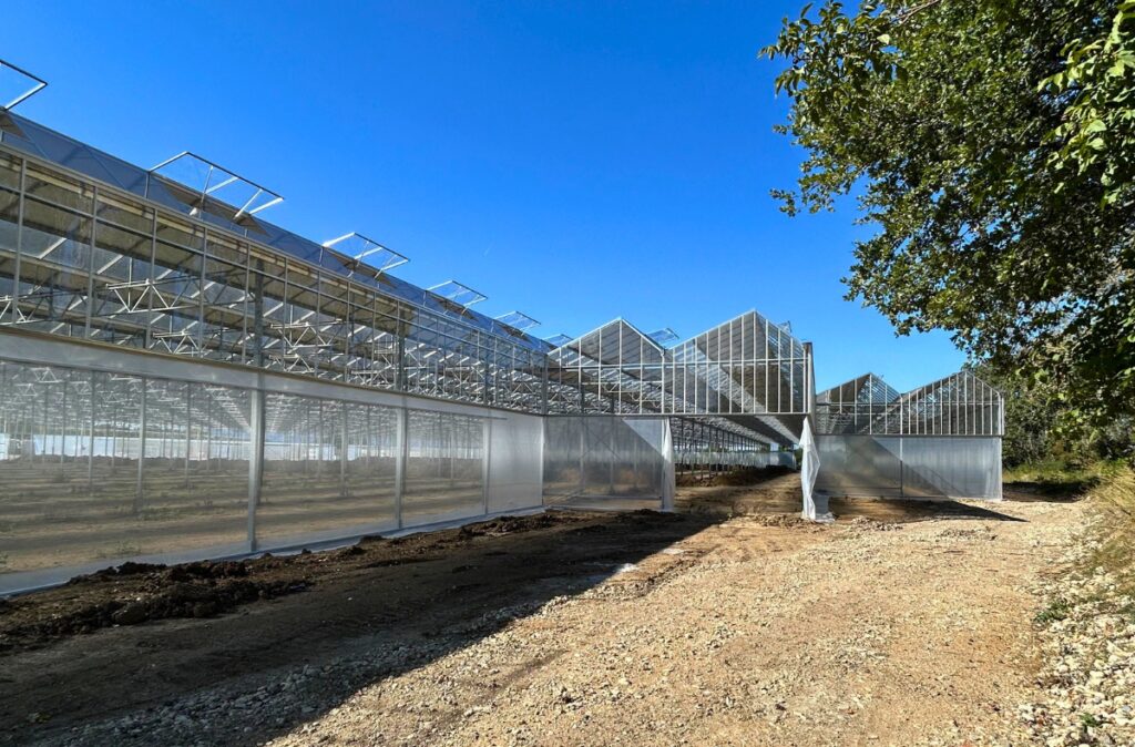 Zamknięcie bryły szklarni - montaż przeszkleń i elementów foliowych.