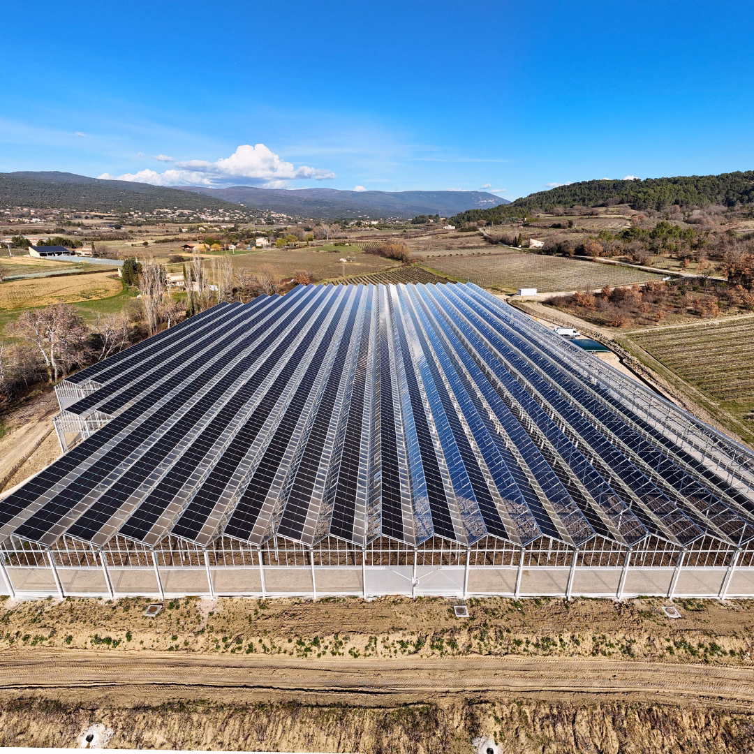 Zrealizowana szklarnia hybrydowa z panelami fotowoltaicznymi, widok z lotu ptaka.