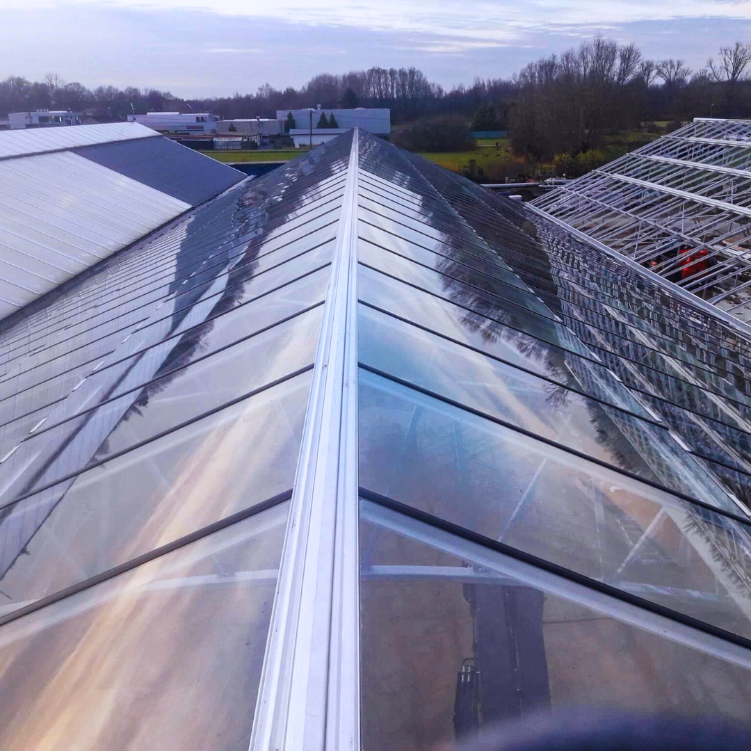 Szklany dach szklarni z kalenicą i świetlikami dachowymi zapewniającymi naturalne doświetlenie obiektu.