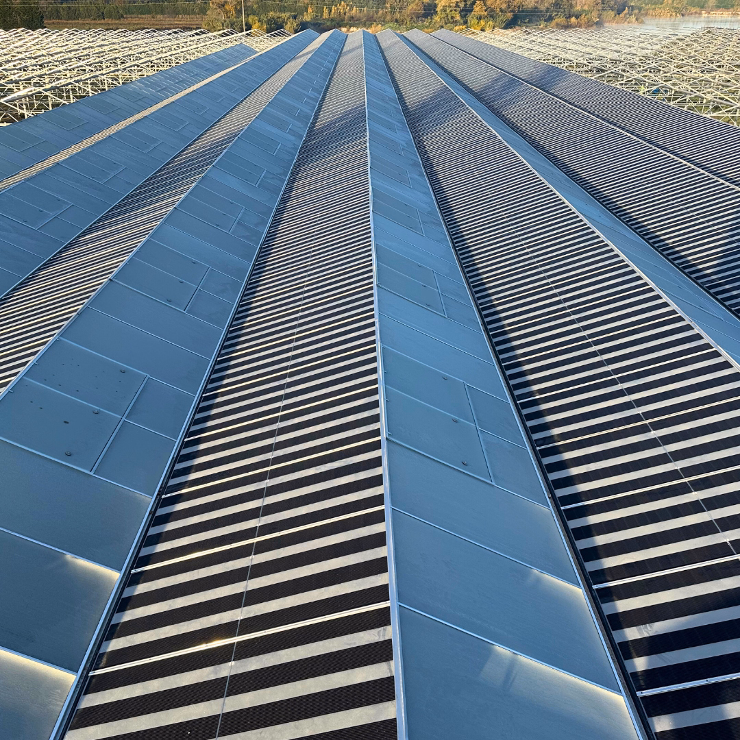 Panele słoneczne na dachu - szklarnia fotowoltaiczna.