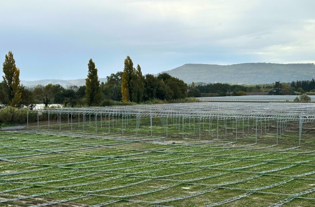 Widok na konstrukcję nośną w trakcie budowy - rozwijający się projekt szklarni fotowoltaicznej na dużej powierzchni.